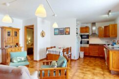 Solan-8a-09242024_144436