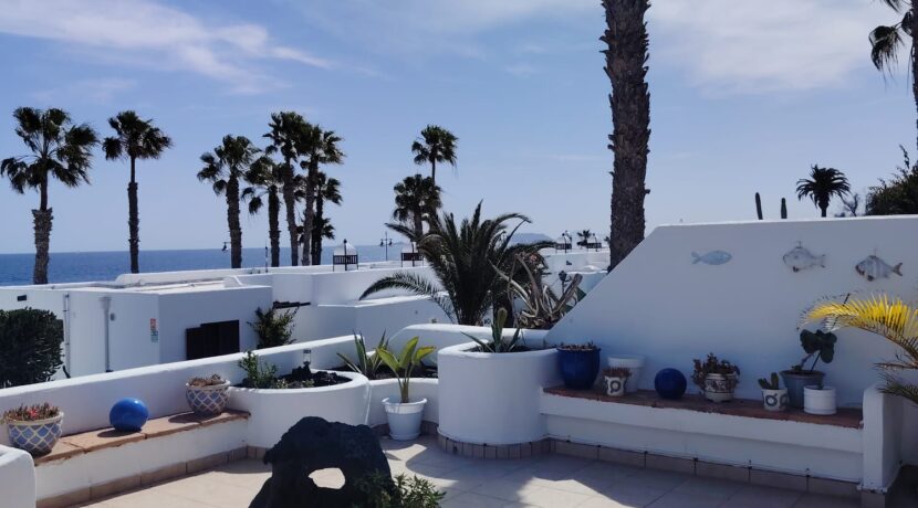 WhatsApp Image 2026-02-24 at 14.01.58 (5)